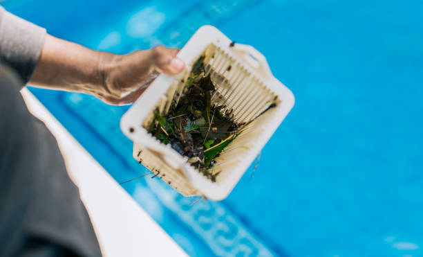 Best Estate Cleanout Services  in Dayton, WA